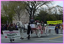 With Good Morning America's Tony Perkins, Cherry Blossom Parade 2002